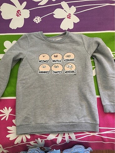 Sweatshirt