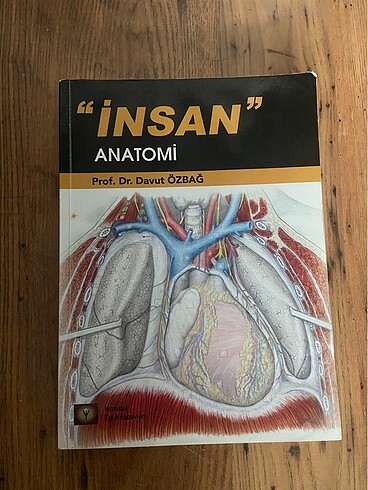 İnsan anatomi