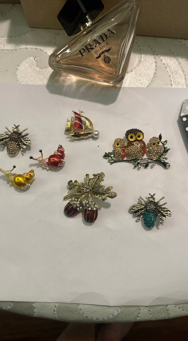 Renkli İşlemeli Payetli çeşitli Broş - Görsel 2