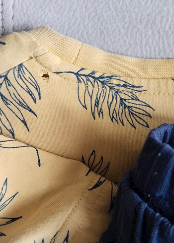 us Polo şort tişört takım - Görsel 6