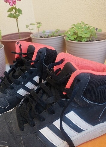 orjinal adidas ayakkabı