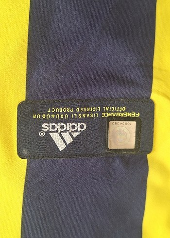 Fenerbahçe avea forma - Görsel 6