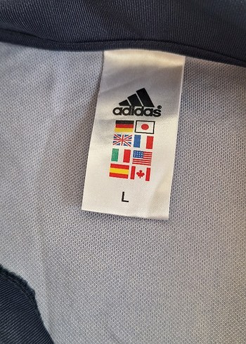 Fenerbahçe avea forma - Görsel 5