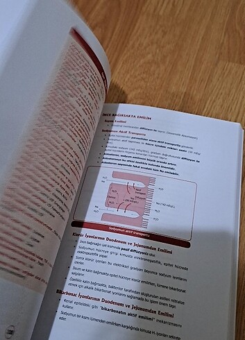 DUSDATA FİZYOLOJİ HİSTOLOJİ EMBRİYOLOJİ MİADENT 4.BASKI - Görsel 5