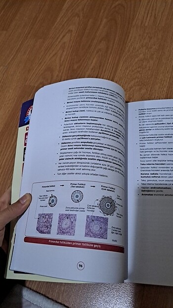 DUSDATA FİZYOLOJİ HİSTOLOJİ EMBRİYOLOJİ MİADENT 4.BASKI - Görsel 7