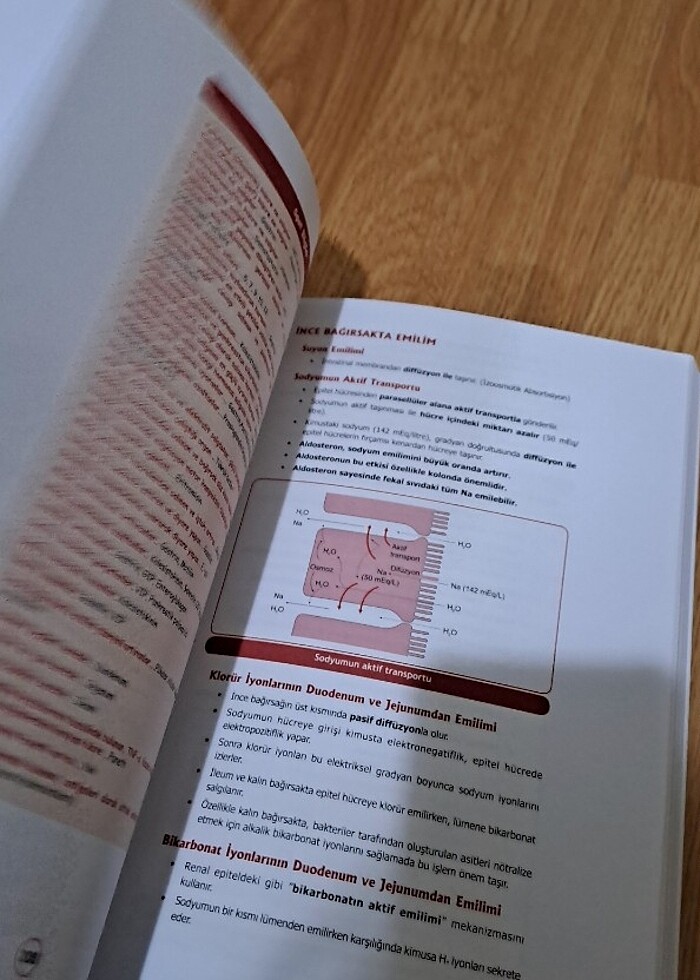 DUSDATA FİZYOLOJİ HİSTOLOJİ EMBRİYOLOJİ MİADENT 4.BASKI - Görsel 5