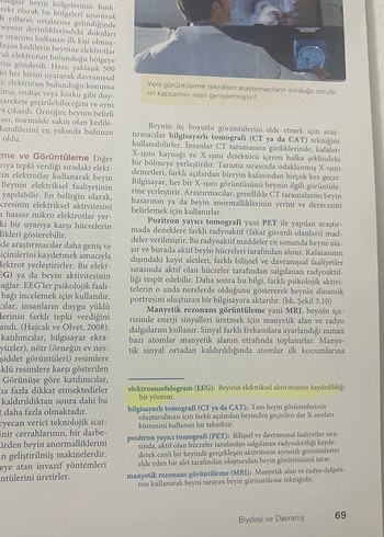  Beden Renk Psikoloji ve Yaşam - Psikolojiye Giriş Kitabı