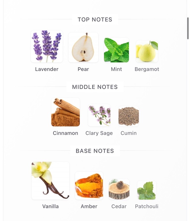 Rayhaan Lion 5ML - Görsel 3