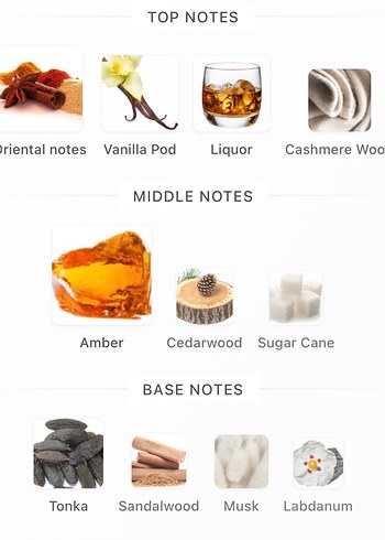 French Avenue Amper Empire 3ML - Görsel 3