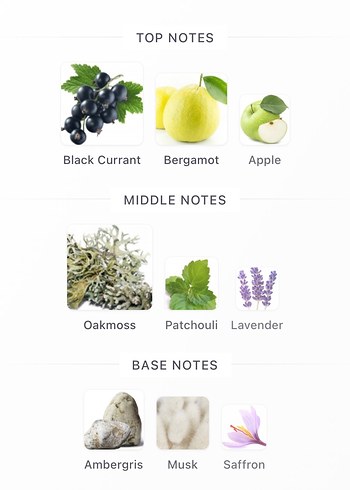 Afnan Not Only İntense 5ML - Görsel 3