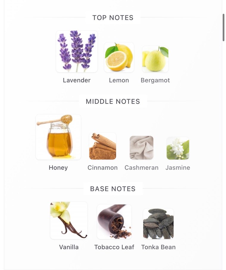 Rayhaan İtalia 5ML - Görsel 3