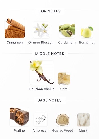 French Avenue Liquid Brun 5ML - Görsel 3