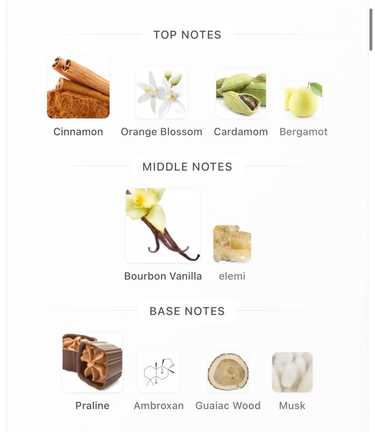 French Avenue Liquid Brun 5ML - Görsel 3