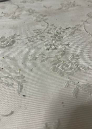 Penti Çocuk Nakışlı Sıcak panduf patik - Görsel 4