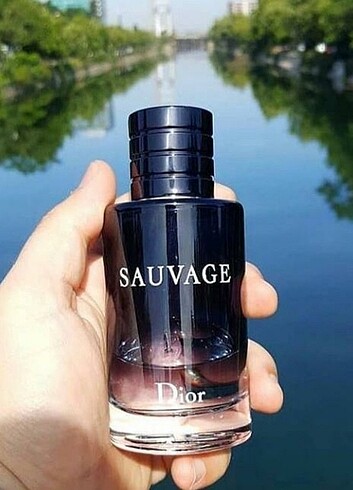 Sauvage