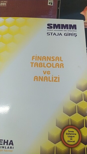 SMMM STAJA GİRİŞ 