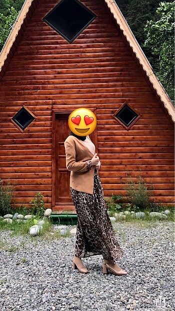 Alvina takım
