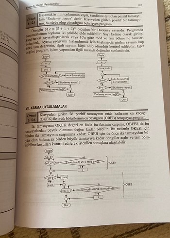 Beden Algoritma Geliştirme ve Programlamaya Giriş Kitabı