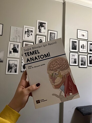 Temel anatomi kitap
