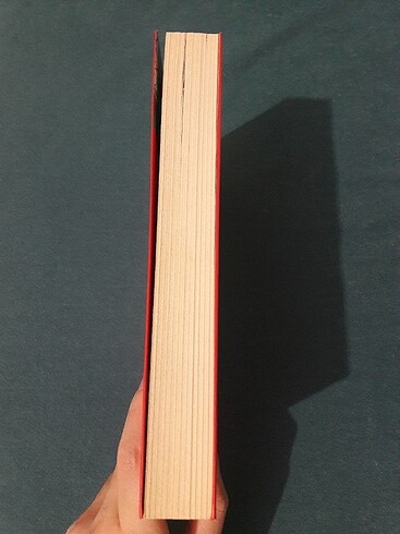  Beden Renk Algılama Yönetimi Ali Saydam kitap ucuz kitap algilama yönetimi 