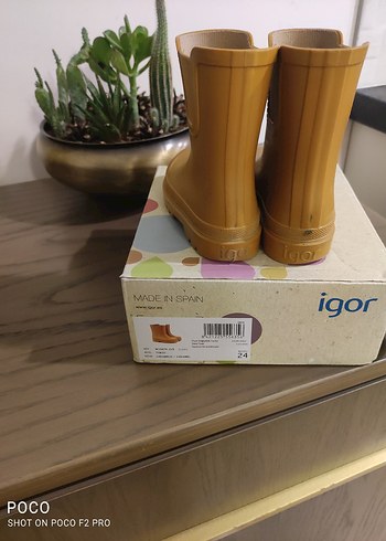 Igor hardal rengi erkek çocuk Çizme