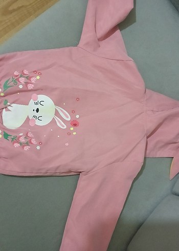 Pembe mevsimlik mont - Görsel 2