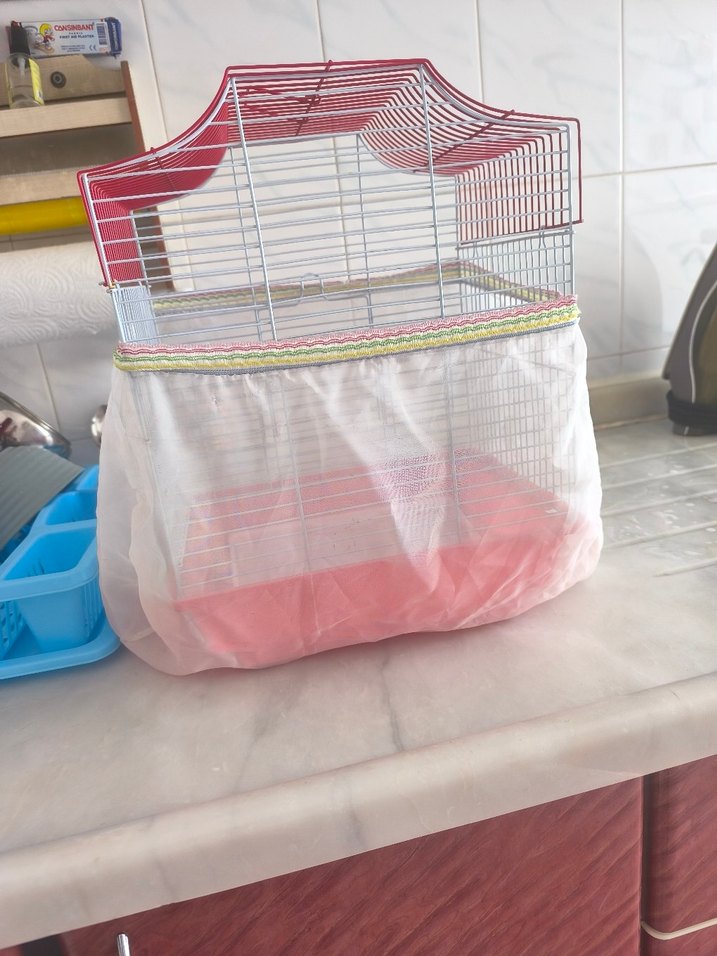 Renkli Kırmızı Kuş Kafesi - Görsel 3