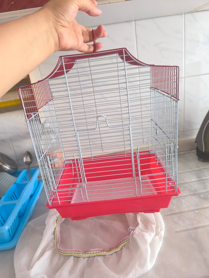 Renkli Kırmızı Kuş Kafesi - Görsel 2