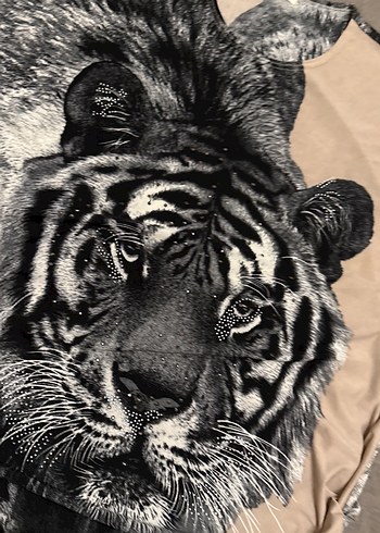 Gri Baskılı Sokağa Uygun Kedi Kıyafeti - Görsel 3