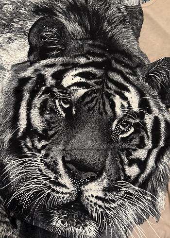 Gri Baskılı Sokağa Uygun Kedi Kıyafeti - Görsel 4