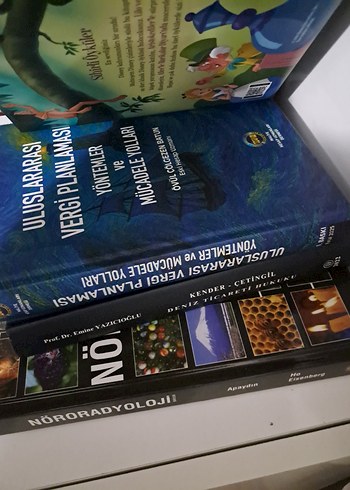 Uluslararası Vergi Planlaması Kitabı - Görsel 3