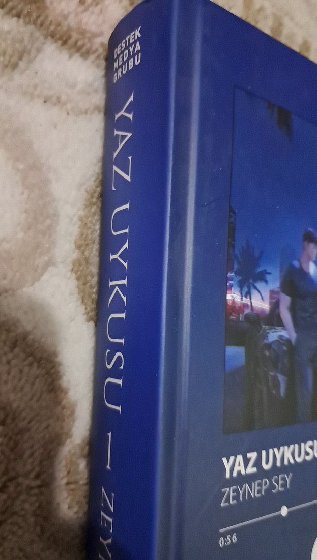 Yaz Uykusu - Zeynep Sey Roman - Görsel 2