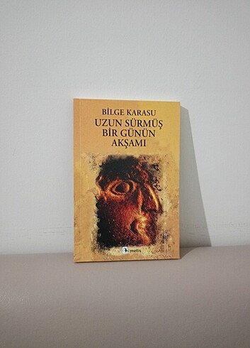 uzun sürmüş bir günün akşamı bilge karasu 