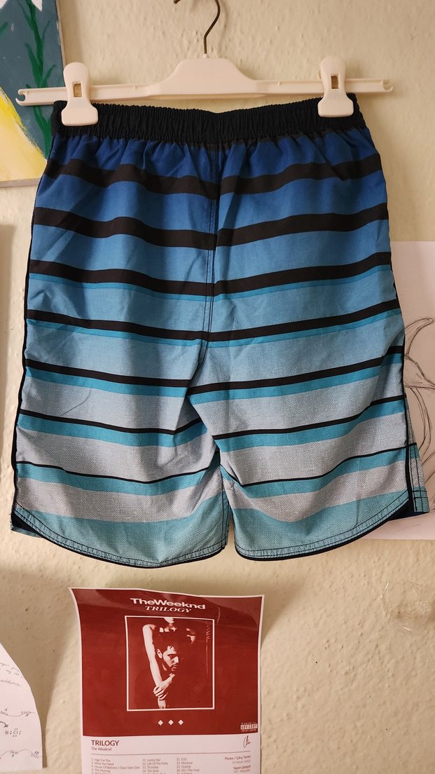 Mavi Bağcıklı Rahat Kesim Erkek Şort - Görsel 2