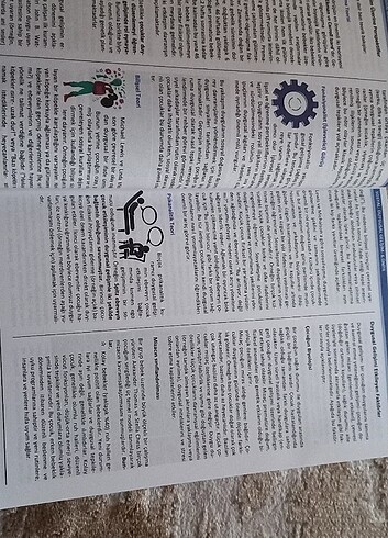  Beden Renk Çocuk gelişimi kitabı 