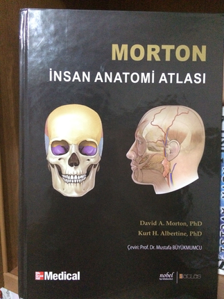 Morton Anatomi