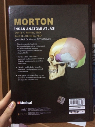universal Beden siyah Renk Morton Anatomi
