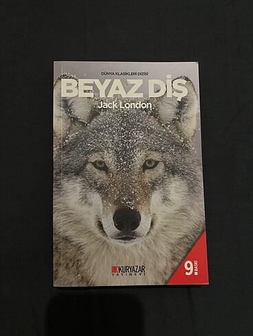 Klasik Kitap