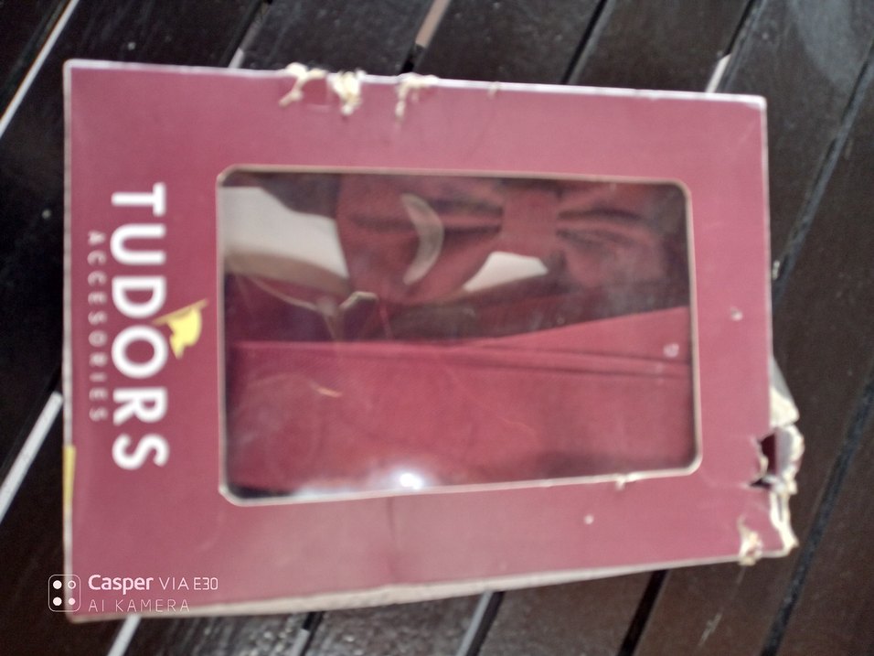 Tudors Askı ve Papyon Seti - Görsel 4