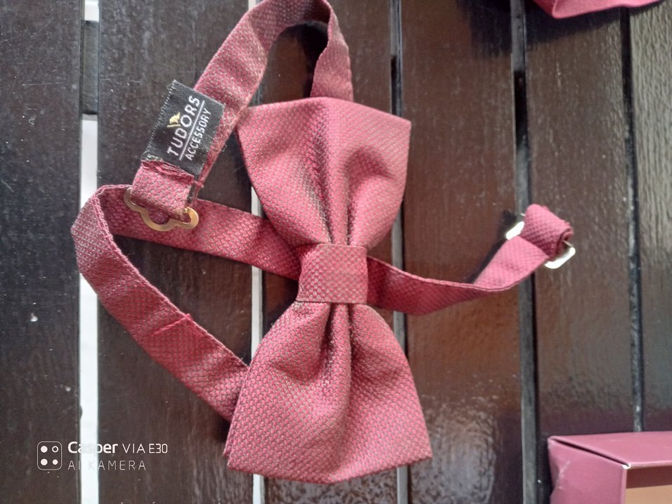 Tudors Askı ve Papyon Seti - Görsel 2