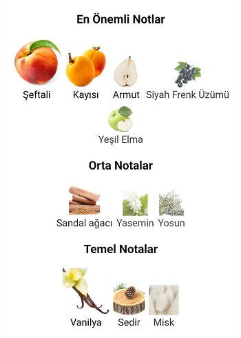 Burberry Classic 5ML - Görsel 6