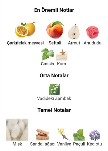 Tiziana Terenzi Kirke 50ML - Görsel 6