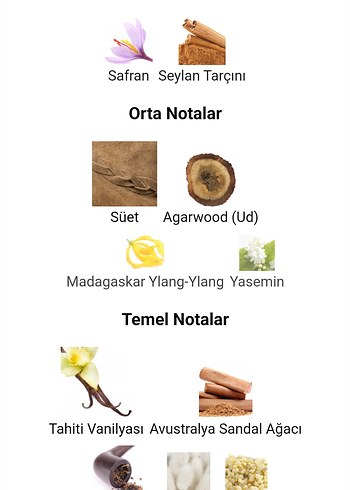 Goldfield & Banks Silky Woods 30ML - Görsel 6