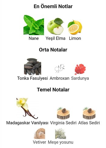 Versace Eros 5ML - Görsel 6