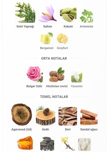 Penhaligon's Halfeti 50 ml - Görsel 2