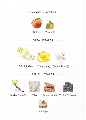 Memo Marfa 30 ml - Görsel 2