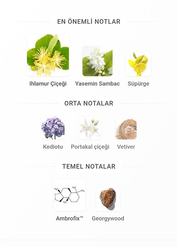 Marc-Antoine Barrois Tilia 30 ml - Görsel 2