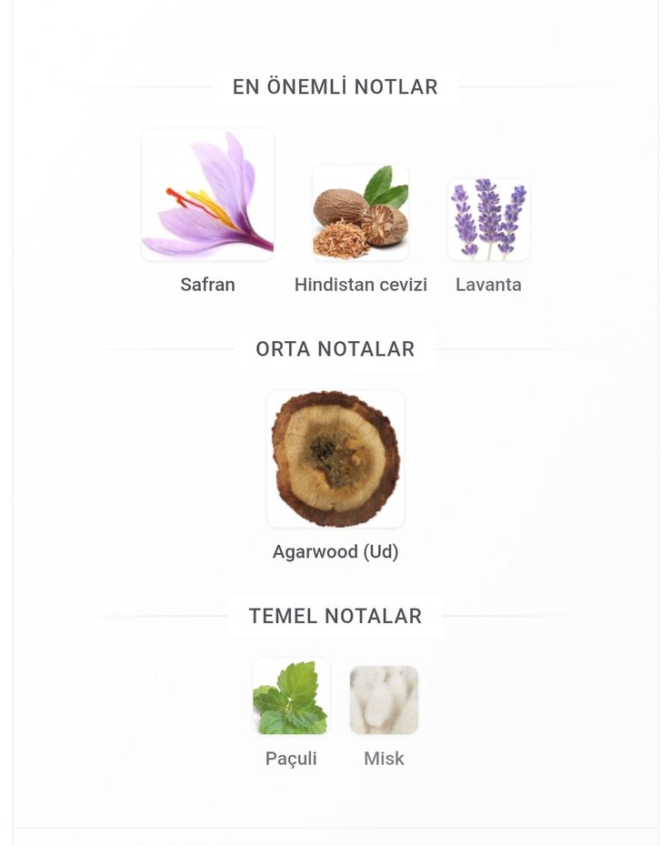 Initio Prives Oud for Greatness 5 ml - Görsel 3