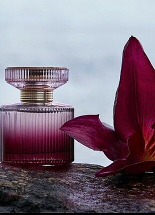 Oriflame Mis kokulu parfüm 