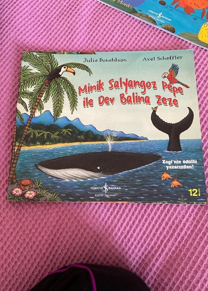 Utangaç ayı monti,kaplanın peşinde,bir kabuğu paylaşmak,minik sa - Görsel 3